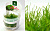 Мох Тамарассер Moss sp.Thamarassery (меристемное растение)